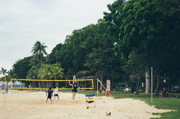 Stewarding our shores for those to come